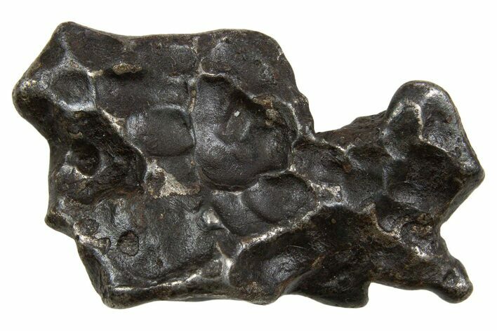 Fusion Crusted Sikhote-Alin Iron Meteorite ( g) - Russia #334592